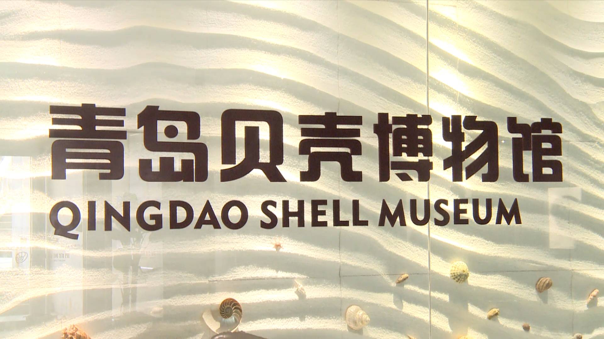 青岛贝壳博物馆小贝壳大世界